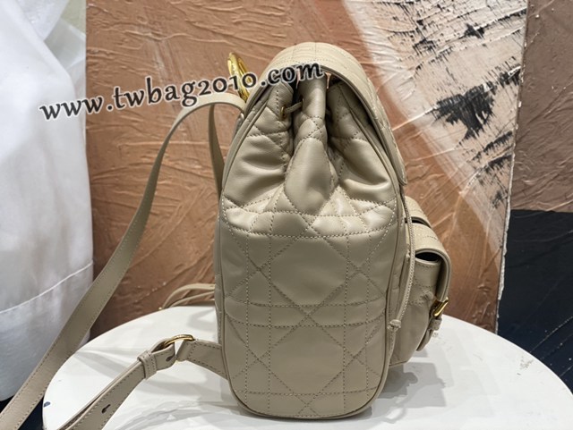 Dior专柜2025早春新款迪奥高仿原单大号Caro双肩背包女士后背包 djfk1819